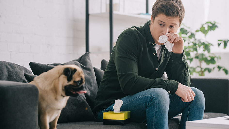 Getting an air purifier is one of the wisest methods to enhance your home’s indoor air quality. Learn more about the three best solutions. 